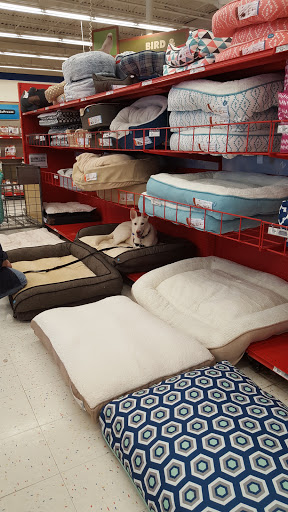Pet Supply Store «Petco Animal Supplies», reviews and photos, 25 Hazard Ave, Enfield, CT 06082, USA
