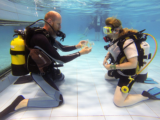 Comments and reviews of Learn Scuba Diving London