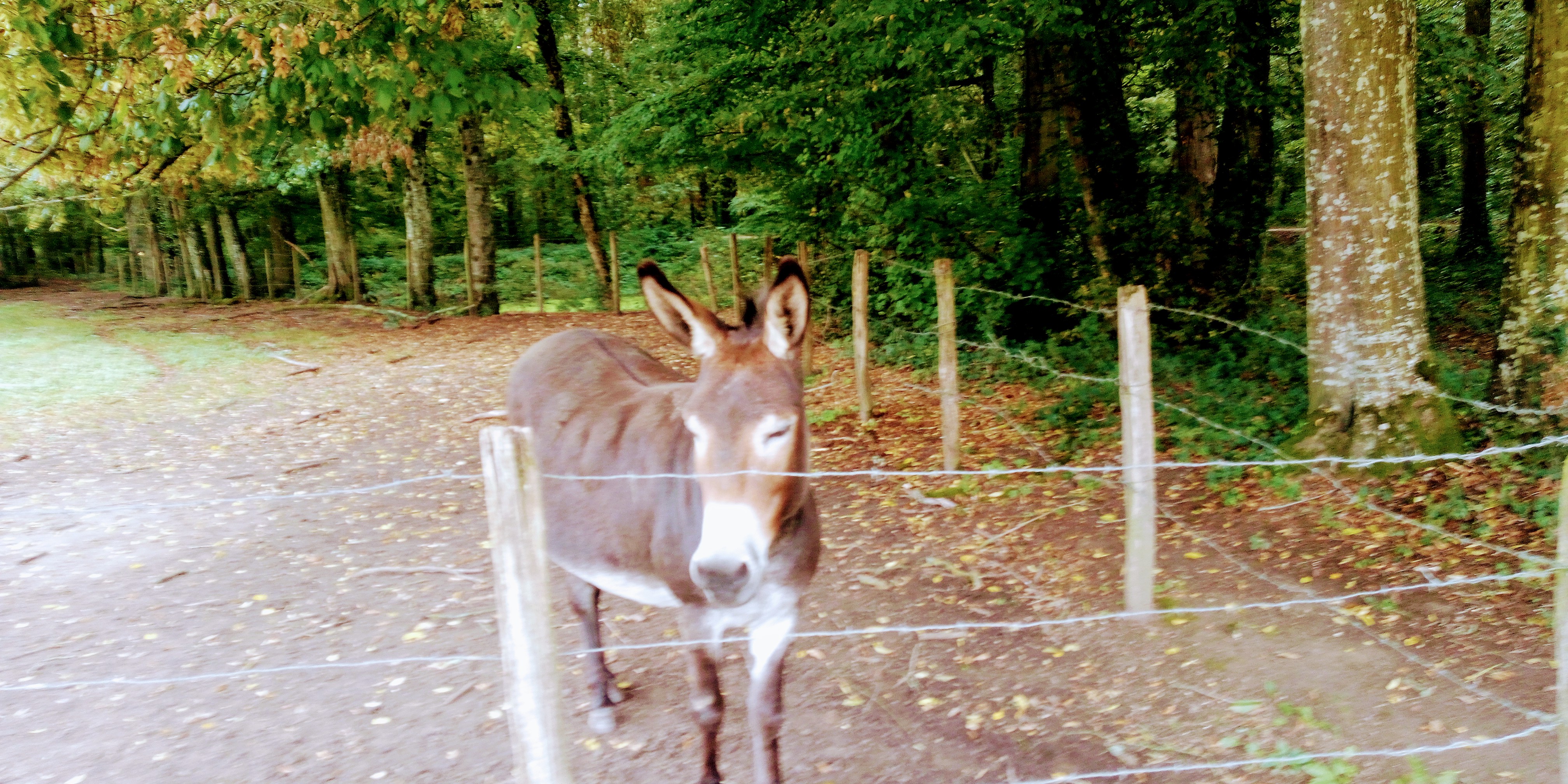 Photo n° 19 de l'avis de P. fait le 29/08/2023 à 12:10