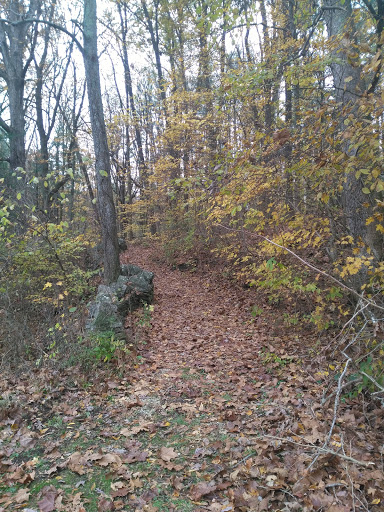 8503 IN-54, Avoca, IN 47420, USA