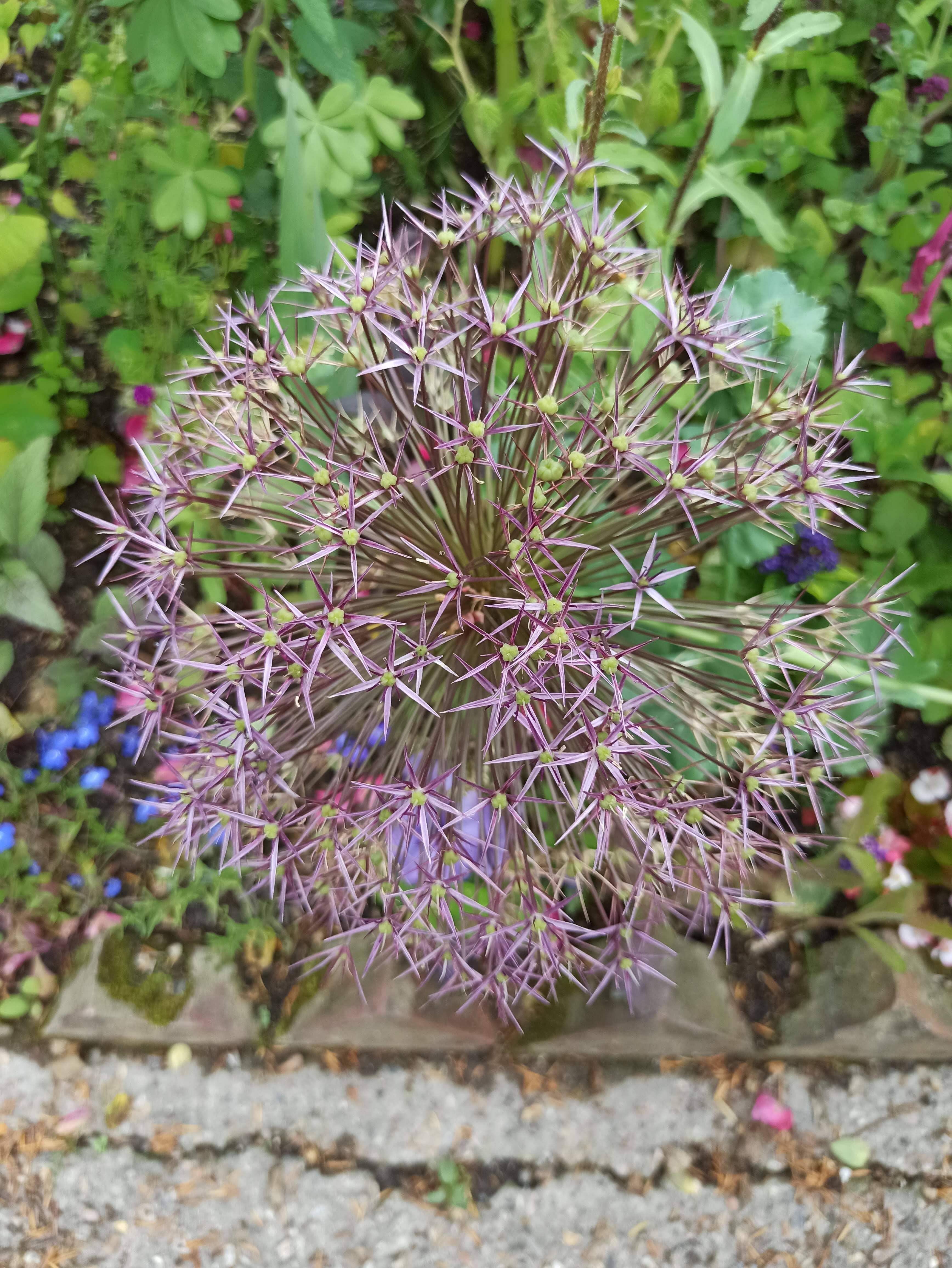 Photo n° 13 de l'avis de flo.a fait le 22/06/2020 à 13:02