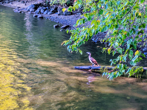 State Park «Gillette Castle State Park», reviews and photos, 67 River Rd, East Haddam, CT 06423, USA