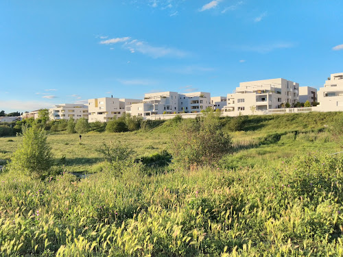 Parc à chiens Rieucoulon à Montpellier