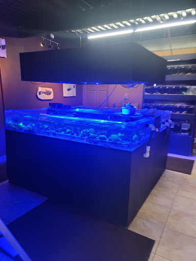 Tropical Fish Store «Aquatic Evolution LLC», reviews and photos, 23 1330 W, Orem, UT 84057, USA