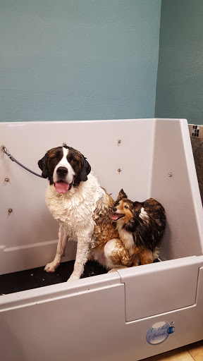 Pet Supply Store «Pet Food Gone Wild», reviews and photos, 2415 Southern Blvd SE, Rio Rancho, NM 87124, USA