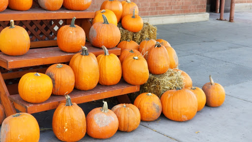 Supermarket «Cub Foods», reviews and photos, 8432 Tamarack Village, Woodbury, MN 55125, USA