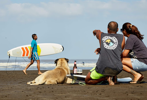 Mumbai Surf Club and School