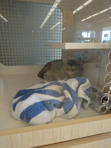 Pet Supply Store «Petco Animal Supplies», reviews and photos, 5565 S Virginia St, Reno, NV 89502, USA