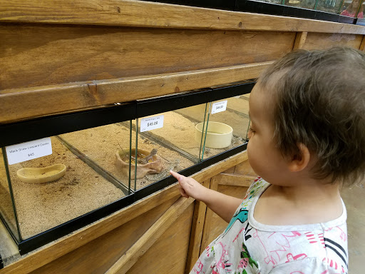 Pet Store «Lost Realms Pets», reviews and photos, 8059 N Cedar Ave, Fresno, CA 93720, USA