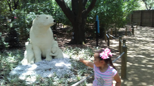 Zoo «Houston Zoo - West Gate», reviews and photos, 1467 Cambridge St, Houston, TX 77030, USA