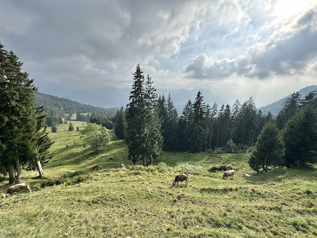 Kommentare und Rezensionen über Sonnenhütte Ibergeregg - Mythenregion