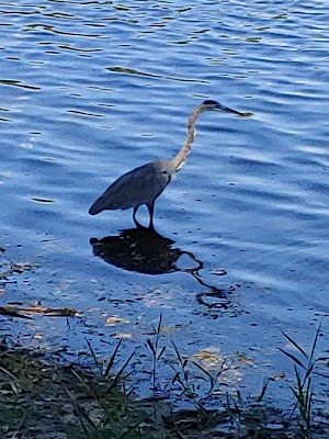 Stansbury Park - photo 6