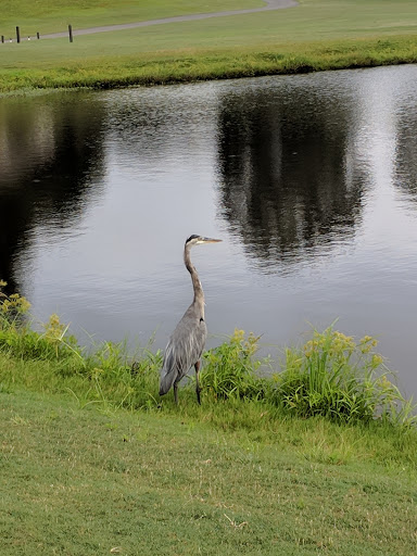 Golf Course «Planterra Ridge Golf Club», reviews and photos, 500 Clubhouse Dr, Peachtree City, GA 30269, USA