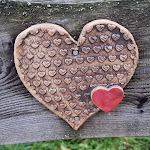 Photo n°14 de l'avis de Rosalie.l fait le 02/11/2023 à 12:24 sur le  Vitalium Bad Lauterberg - Dr. von Plachy à Bad Lauterberg