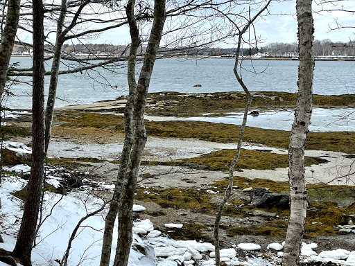 Nature Preserve «Littlejohn Island Preserve», reviews and photos, Pemasong Ln, Yarmouth, ME 04096, USA