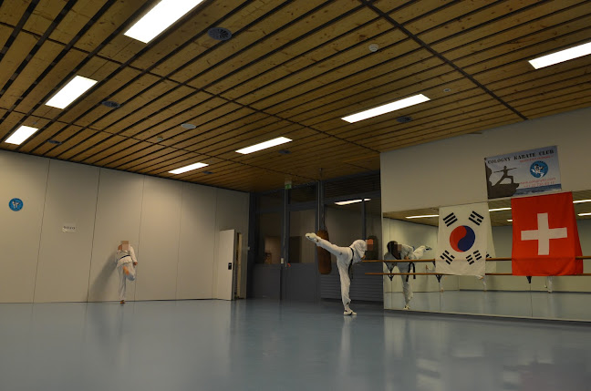 Taekwondo Club Genève - Thônex