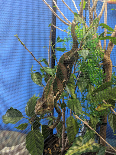 Pet Store «Corals and Fins», reviews and photos, 5011 W Hillsborough Ave, Tampa, FL 33634, USA