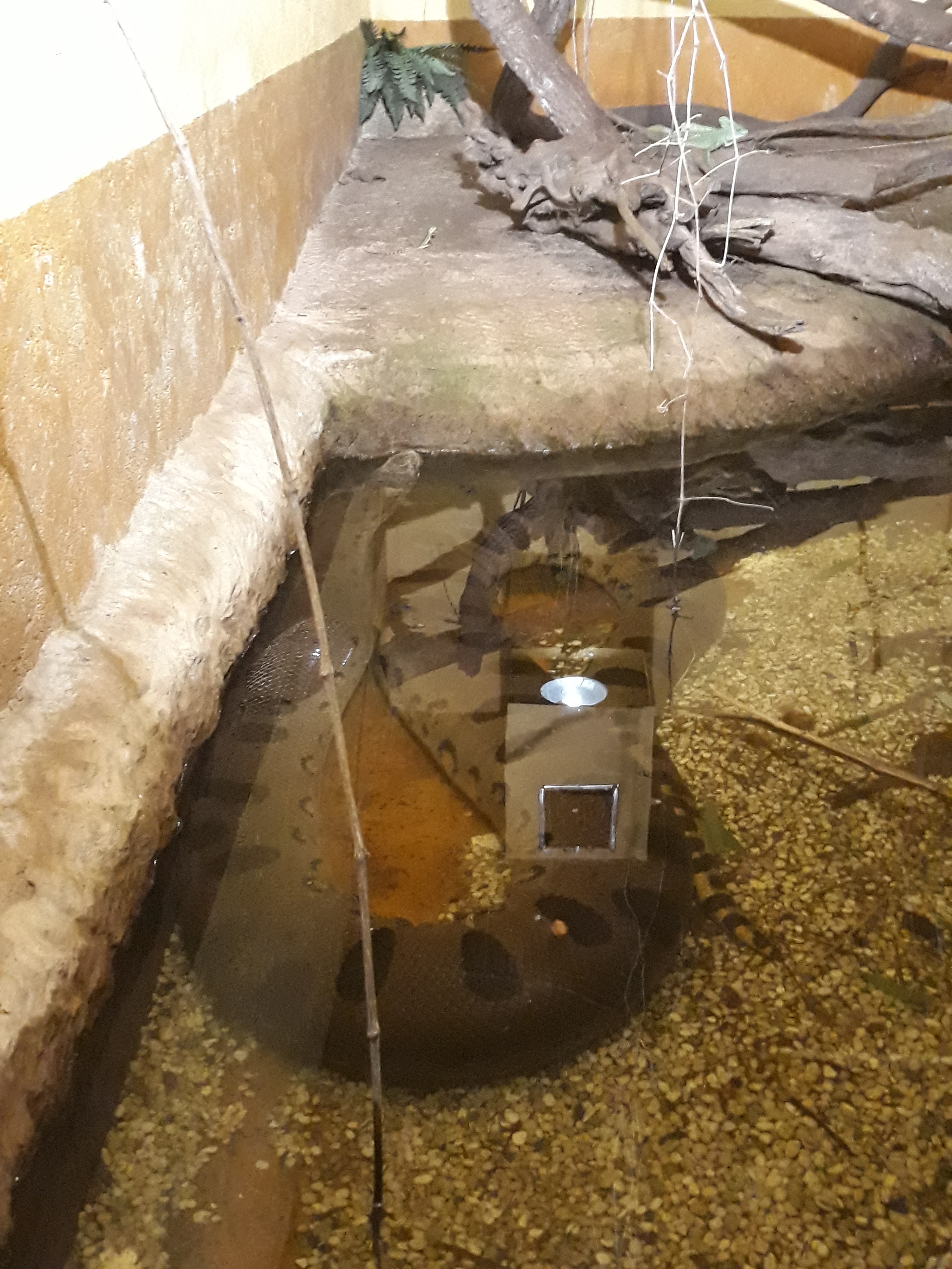 Photo n° 2 de l'avis de Raphael.e fait le 16/08/2019 à 17:28