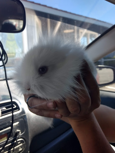 Pet Supply Store «Coastline Pet Supply», reviews and photos, 3530 Northgate Dr, Myrtle Beach, SC 29588, USA