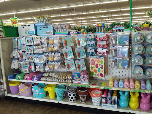 Dollar Store «Dollar Tree», reviews and photos, 2241 Citrus Blvd #107, Leesburg, FL 34748, USA