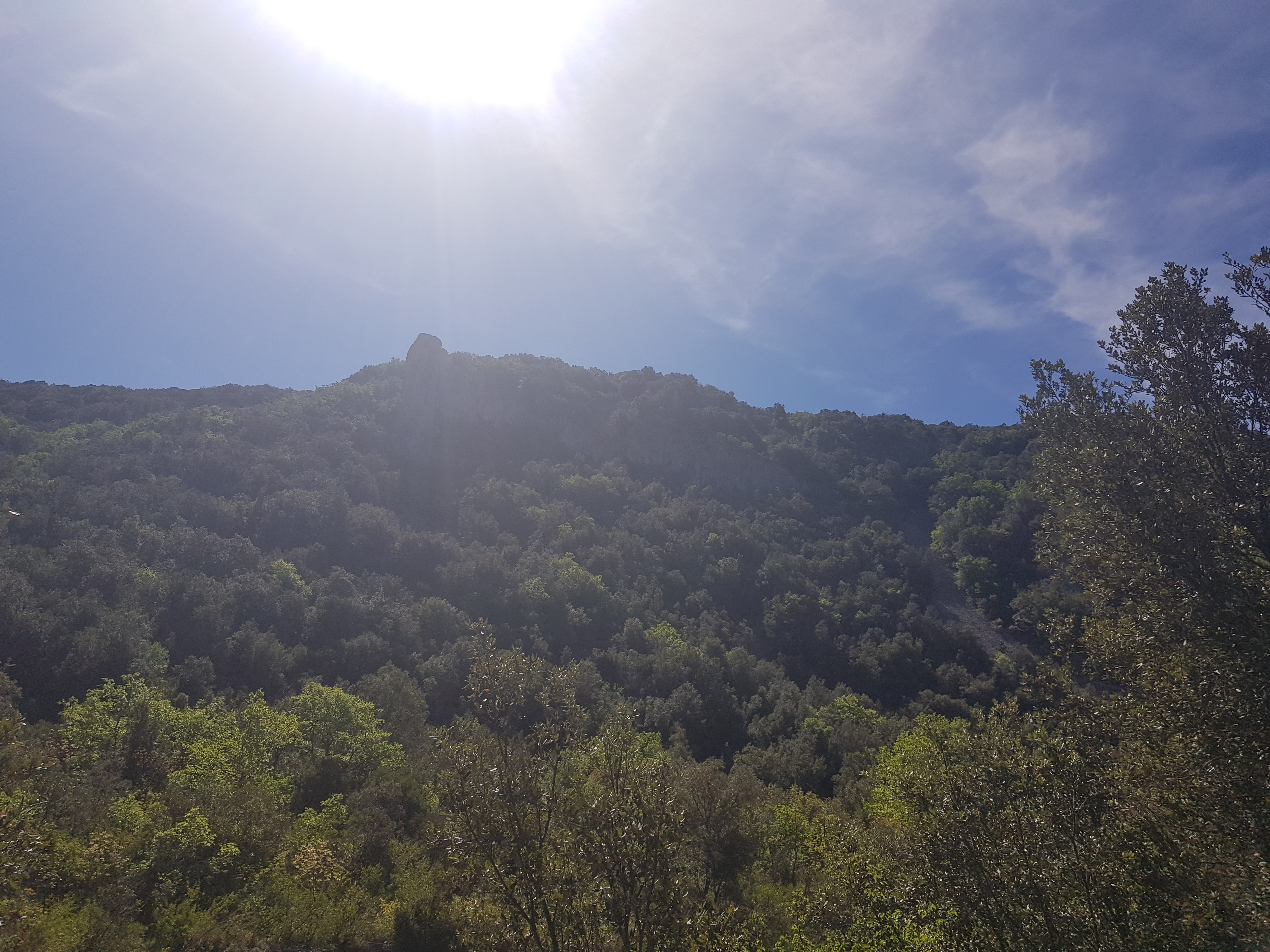 Photo n° 14 de l'avis de Coco.e fait le 21/05/2019 à 12:40