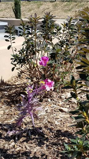Park «Julius Breckling Riverfront Park», reviews and photos, Ottenheimer Plaza, Little Rock, AR 72201, USA
