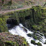 Photo n° 2 de l'avis de Christophe.R fait le 16/01/2023 à 05:46 pour Source Bergeret à Vaire