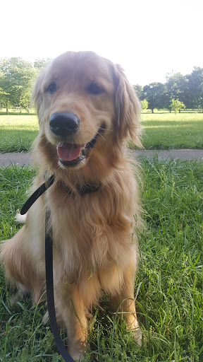 Park «Des Pres Park», reviews and photos, 4709 Lowe Rd, Louisville, KY 40220, USA