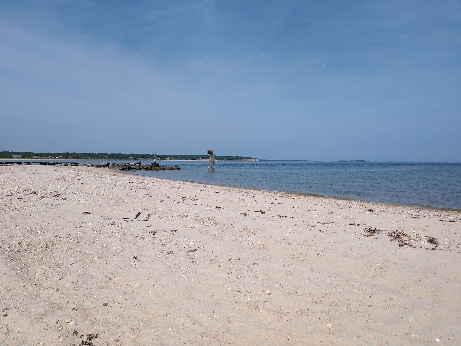 Fotografija Maidstone Beach z svetel pesek površino