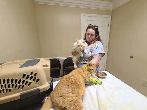 Faulkner Animal Hospital image