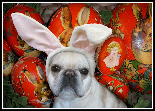 Bad Dog Antiques and Other Attractions