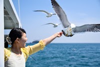 ㈱志津川湾観光船