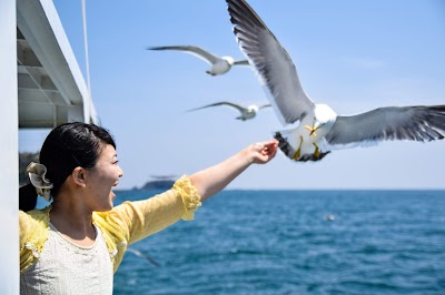 ㈱志津川湾観光船