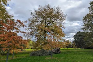 Friends of the Harris Garden image