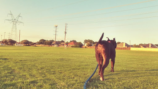 Park «Preston Meadow Park», reviews and photos, 4243 Lorimar Dr, Plano, TX 75093, USA