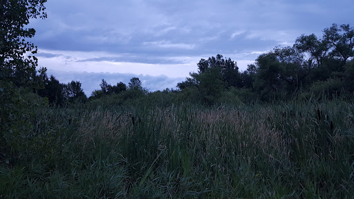 Public Golf Course «Oak Marsh Golf Course», reviews and photos, 526 Inwood Ave N, Oakdale, MN 55128, USA