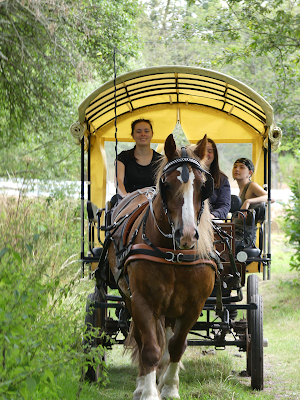 Les calèches de Barenton : contes et chevaux à Brocéliande à Paimpont