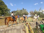 Centro di equitazione Marana en Colle Umberto 1°