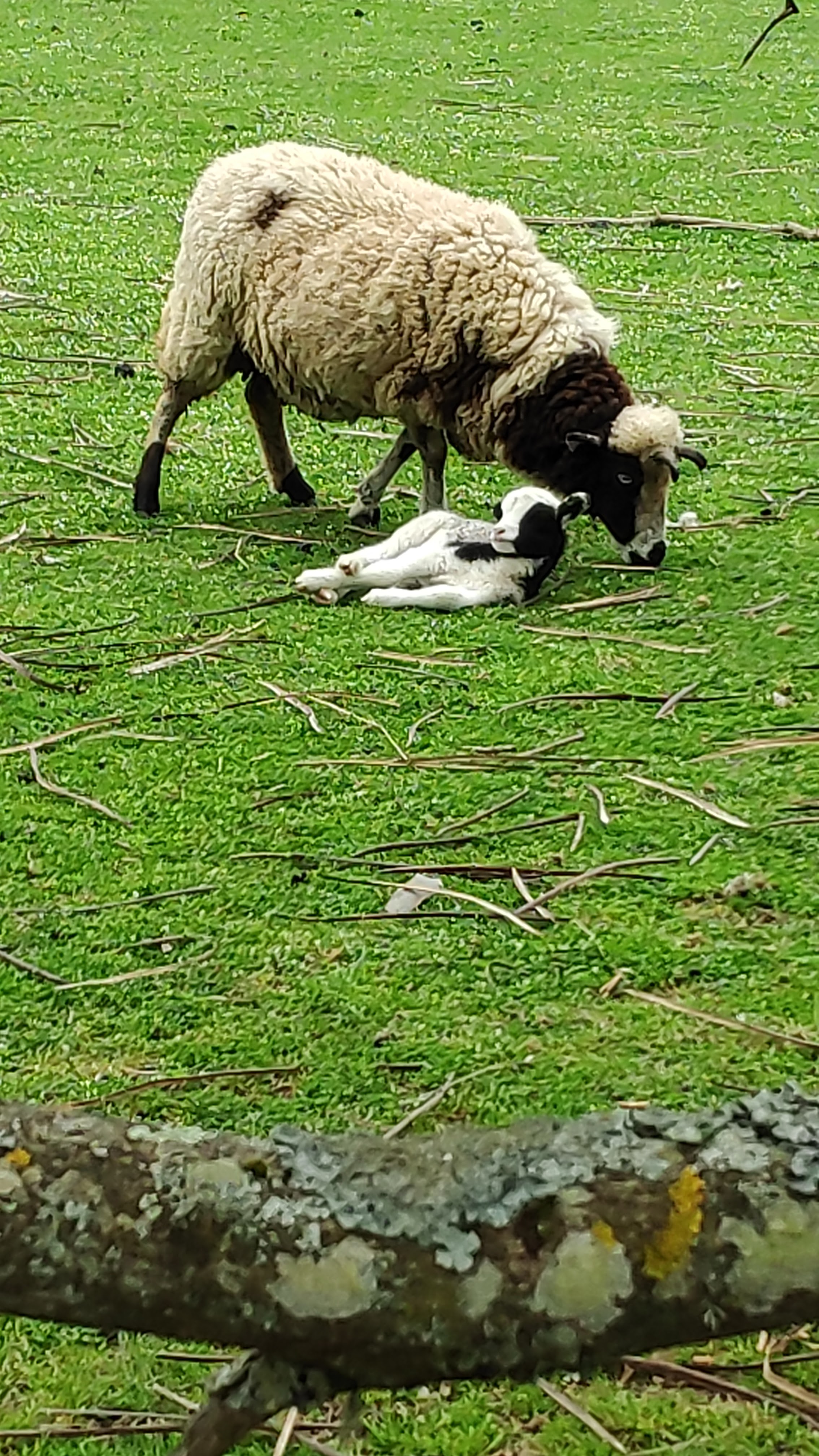 Photo n° 2 de l'avis de Christelle.i fait le 11/05/2019 à 18:03