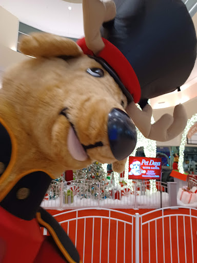 Shopping Mall «Memorial City Mall», reviews and photos, 303 Memorial City Way, Houston, TX 77024, USA