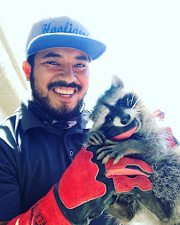 Hawkeyes Inc - Photo 2 - Car repair in San Pedro, CA, Torrance