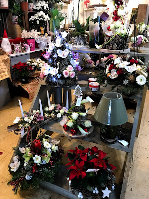 Maquis Fleurs à Ghisonaccia