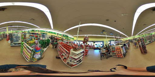 Dollar Store «Dollar Tree», reviews and photos, 6768 Aloma Ave, Winter Park, FL 32792, USA