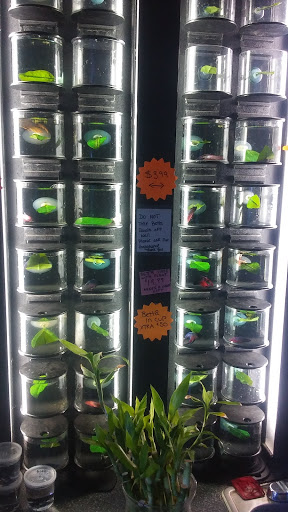 Pet Store «Lebanon Pet & Aquarium Center», reviews and photos, 196 S Main St, West Lebanon, NH 03784, USA