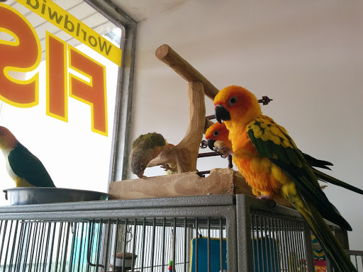 Pet Store «WorldWide Fish & Pets», reviews and photos, 61 Amity Rd, New Haven, CT 06515, USA