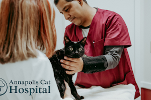 Annapolis Cat Hospital image