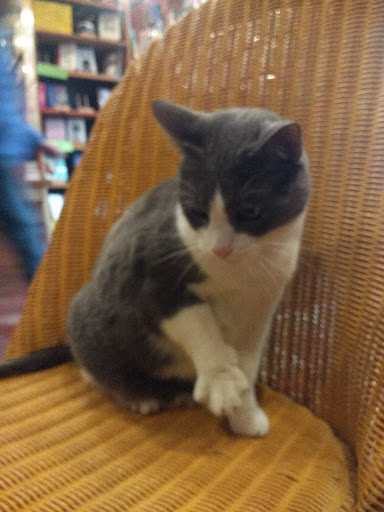 Used Book Store «Loganberry Books», reviews and photos, 13015 Larchmere Blvd, Cleveland, OH 44120, USA