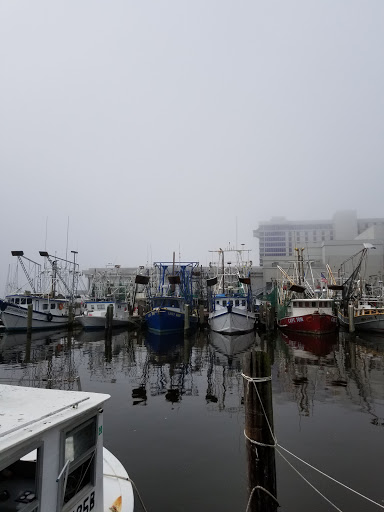 Cruise Agency «Biloxi Shrimping Trip», reviews and photos, 693 Beach Blvd, Biloxi, MS 39530, USA