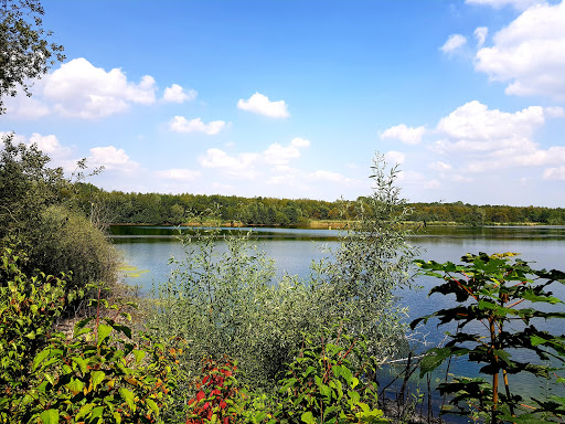 Aussichtspunkt Menzelsee