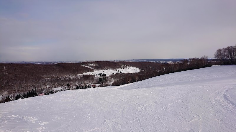 ダイナスティスキーリゾート 北海道北広島市仁別 スキー場 グルコミ